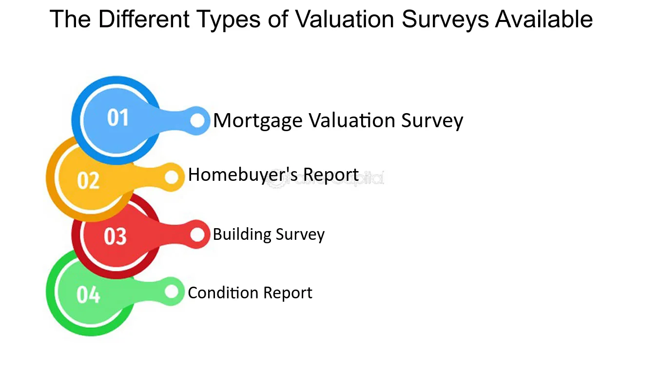 RICS property surveys